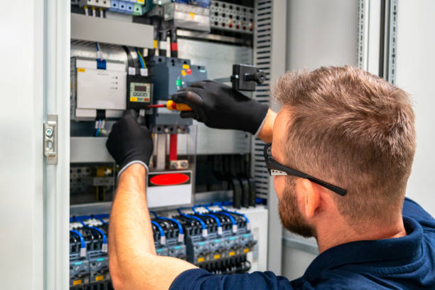 Best Electrician for Home Renovation  in Wallace, FL