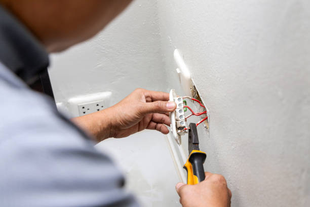 Best Home Electrical Repair  in Wallace, FL