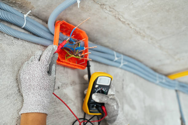 Best Ceiling Fan Installation Electrician  in Wallace, FL